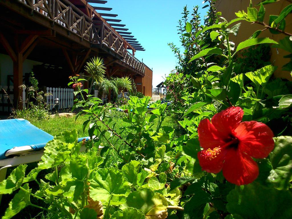 Hostal Playa Mazagón Eksteriør bilde